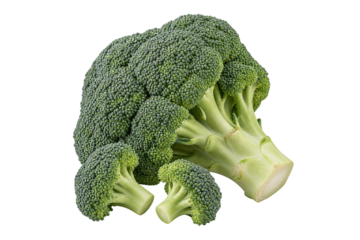 Broccoli